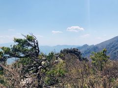 景点-牛背梁国家森林公园
