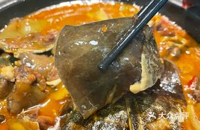 Secret Recipe Free-Range Soft-Shelled Turtle