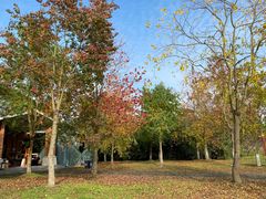 -上海海湾国家森林公园