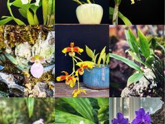 -国家植物园南园