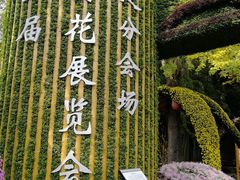 -汇龙潭