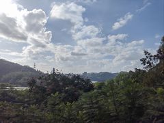 -深圳仙湖植物园