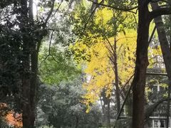 -东湖落雁景区
