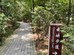 -铁山坪森林公园