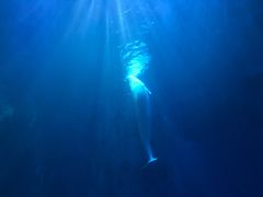 -多彩贵州城极地海洋世界