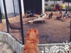 -月亮河温泉度假酒店