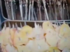 -瓦房店活羊大串(锦绣店)