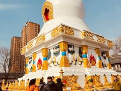 -护国法轮寺