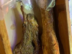 -蔡记·九米羊肉炉(东渡店)