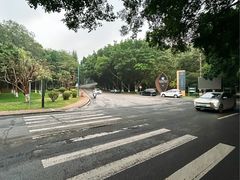 -三水森林公园