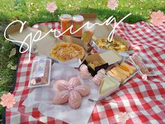 -上海山野camping·户外天幕烧烤·团建拓展营地