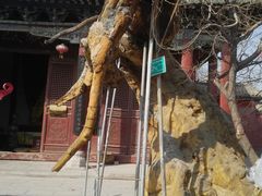 -宋太祖黄袍加身处文管所