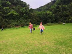 -南宁良凤江国家森林公园