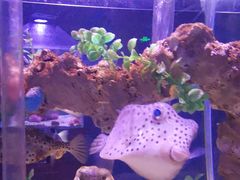 -太平洋海底世界