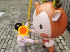 -溱湖国家湿地公园