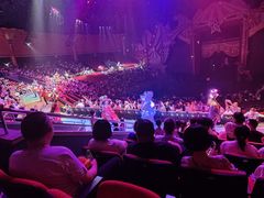 -珠海横琴长隆《卡卡虎奇遇记》