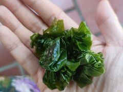 -芽庄珍珠岛游乐园