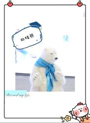 -Mr·Kuma酷么先生雪之乐园