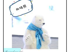 -Mr·Kuma酷么先生雪之乐园