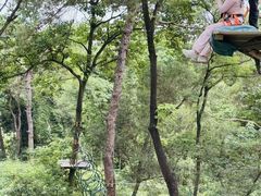 -芦仙山景区-飞越丛林探险乐园