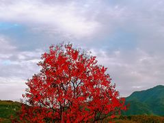 -塔川景区