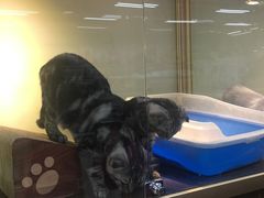 -乐宠宠物店(世纪金源店)