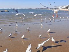 -老虎石海上公园