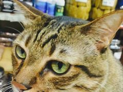 -么凤(波斯富街店)