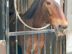 -金庭庄园酒店-停车场
