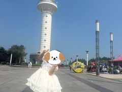 -日照灯塔风景区