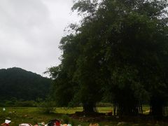-罗坑大草原