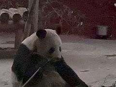 -杭州野生动物世界