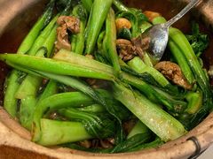 菜心啫鸡杂-池记大牌档(广纸店)