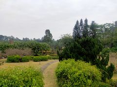-南沙蒲洲花园
