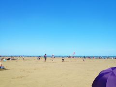 -日照海滨国家森林公园