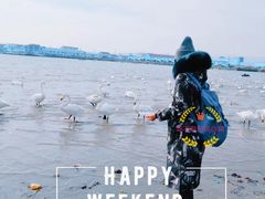 -烟墩角天鹅湖