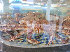 阿拉斯加雪蟹三吃-顺德了能馆(虎门店)