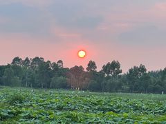 -白鹭湾湿地公园
