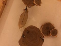 -汤沐邑温泉会馆