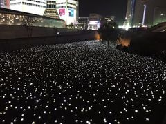 -东大门市场