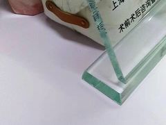-上海大学附属上海和平眼科医院