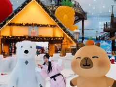 -广州热雪奇迹