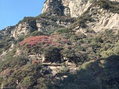-少华山国家森林公园