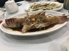 清蒸澳洲东星斑-东江海鲜酒家(艺都分店)