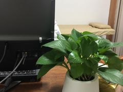 -至诚金方中医馆