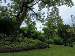 -晓港公园