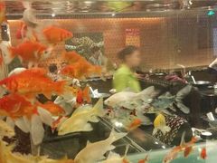 android_upload_pic-问渔烤鱼(回龙观总店)