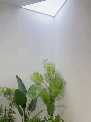 -VE小颜皮肤管理&科学美肤中心