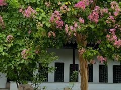 -苏州碑刻博物馆