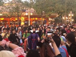 -翱翔飞越地平线